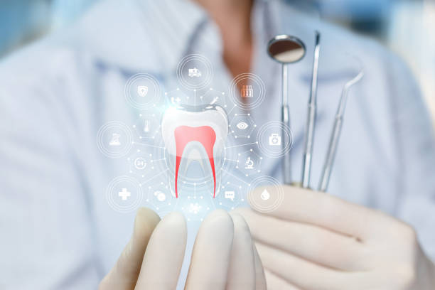 Best Veneers and Lumineers  in Lake City, MN